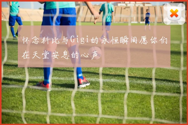 怀念科比与Gigi的永恒瞬间愿你们在天堂安息的心声