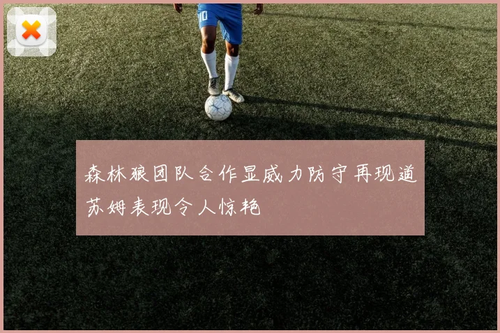 森林狼团队合作显威力防守再现道苏姆表现令人惊艳